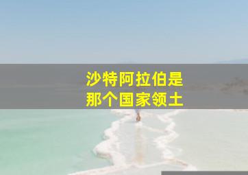 沙特阿拉伯是那个国家领土