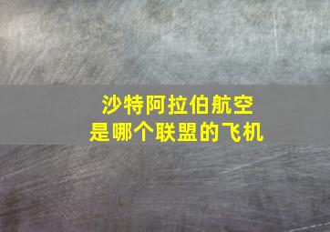 沙特阿拉伯航空是哪个联盟的飞机