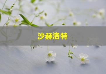 沙赫洛特