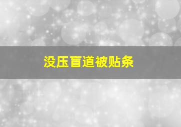 没压盲道被贴条