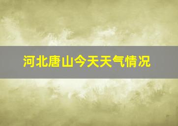 河北唐山今天天气情况