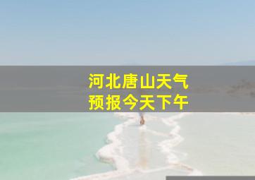 河北唐山天气预报今天下午