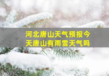 河北唐山天气预报今天唐山有雨雪天气吗