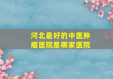 河北最好的中医肿瘤医院是哪家医院