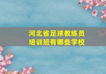 河北省足球教练员培训班有哪些学校