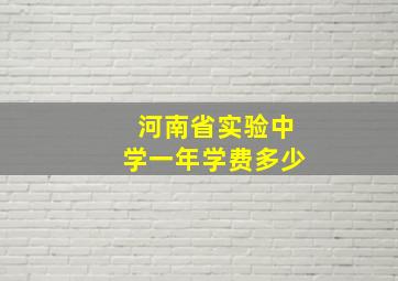 河南省实验中学一年学费多少