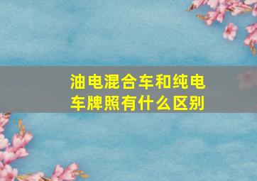 油电混合车和纯电车牌照有什么区别