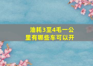 油耗3至4毛一公里有哪些车可以开