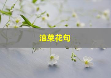 油菜花句