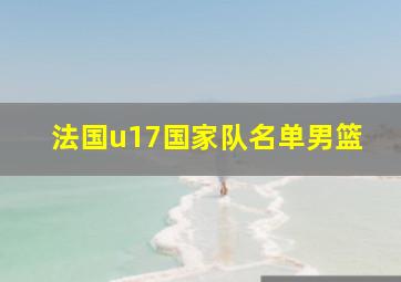 法国u17国家队名单男篮