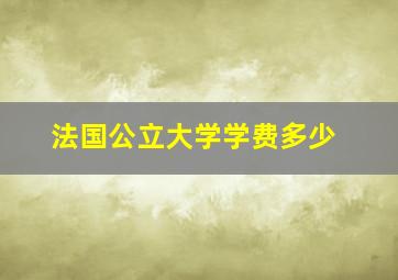 法国公立大学学费多少