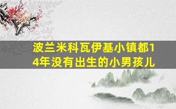 波兰米科瓦伊基小镇都14年没有出生的小男孩儿