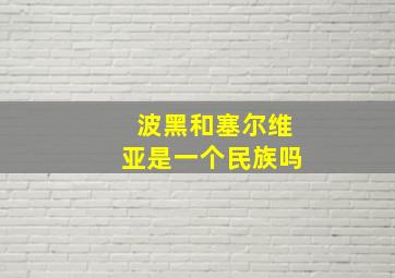 波黑和塞尔维亚是一个民族吗