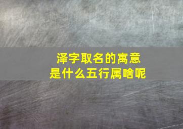 泽字取名的寓意是什么五行属啥呢