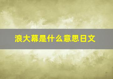 浪大幕是什么意思日文