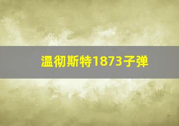 温彻斯特1873子弹