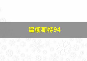 温彻斯特94