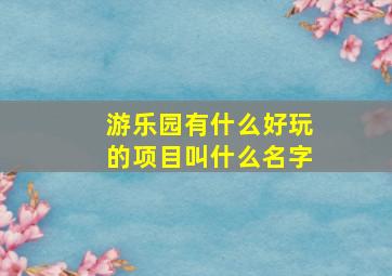 游乐园有什么好玩的项目叫什么名字