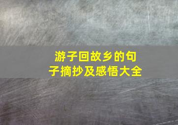 游子回故乡的句子摘抄及感悟大全