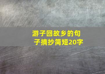 游子回故乡的句子摘抄简短20字