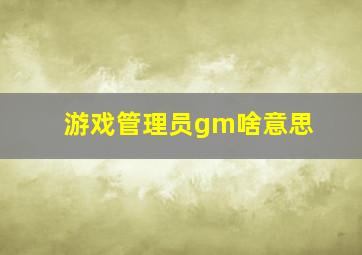 游戏管理员gm啥意思