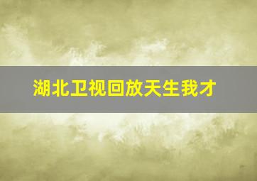 湖北卫视回放天生我才