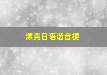 漂亮日语谐音梗