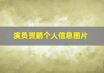 演员贺鹏个人信息图片