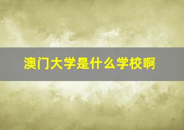 澳门大学是什么学校啊