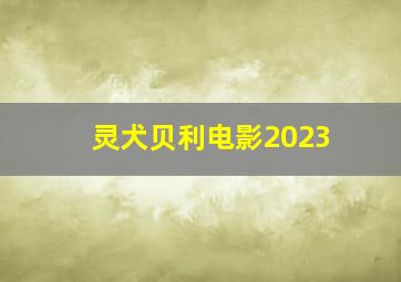 灵犬贝利电影2023