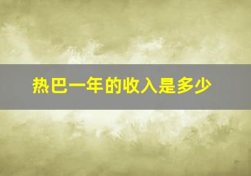 热巴一年的收入是多少