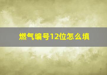 燃气编号12位怎么填