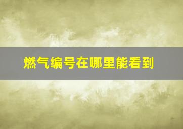 燃气编号在哪里能看到