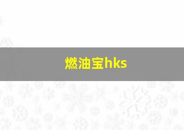 燃油宝hks