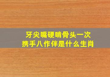 牙尖嘴硬啃骨头一次携手八作伴是什么生肖