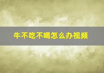 牛不吃不喝怎么办视频