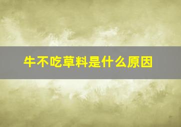 牛不吃草料是什么原因