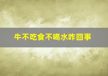 牛不吃食不喝水咋回事