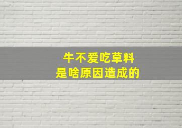 牛不爱吃草料是啥原因造成的