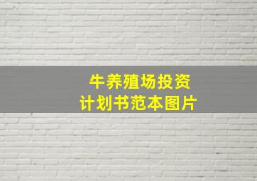 牛养殖场投资计划书范本图片