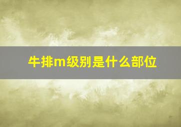 牛排m级别是什么部位