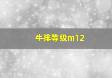 牛排等级m12