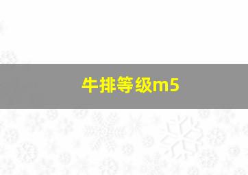 牛排等级m5