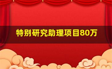 特别研究助理项目80万