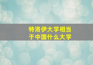 特洛伊大学相当于中国什么大学