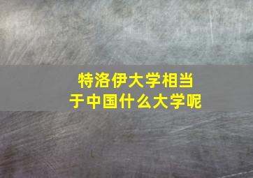 特洛伊大学相当于中国什么大学呢