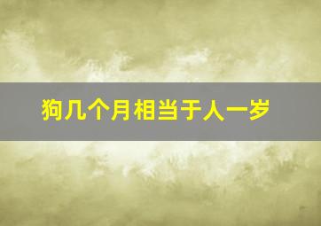 狗几个月相当于人一岁