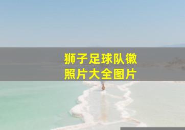 狮子足球队徽照片大全图片