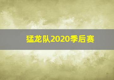 猛龙队2020季后赛