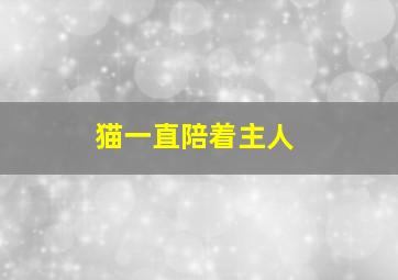 猫一直陪着主人